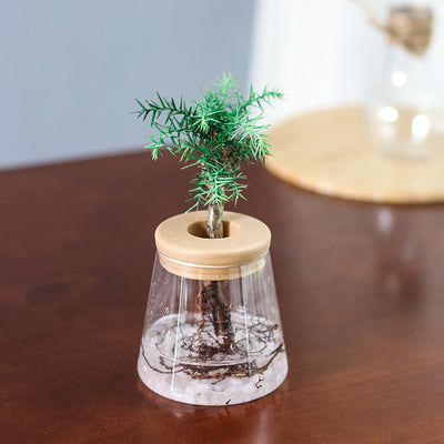 Hydroponic Flower Stand Green Plant Flower Pot Mini Aquarium